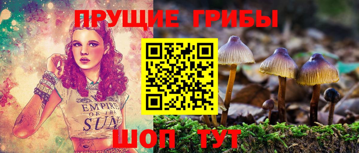 Псилоцибиновые грибы мухоморы Заволжье